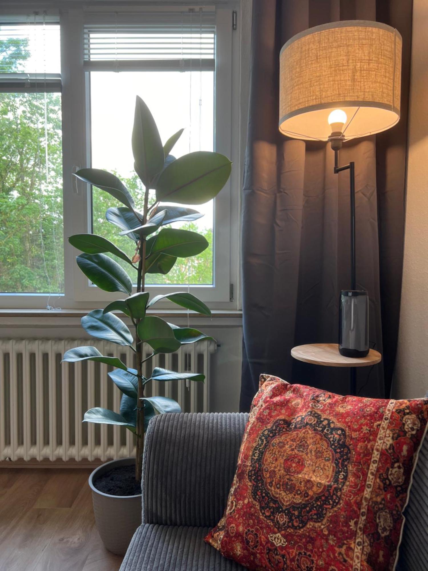 Up Wuljke19 Neu Renovierte Unterkunft Inkl.Pkw Stellplatz 埃姆登 外观 照片